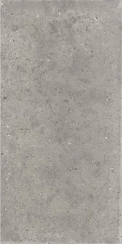 Напольная Poetry Stone Piret Grey 60x120